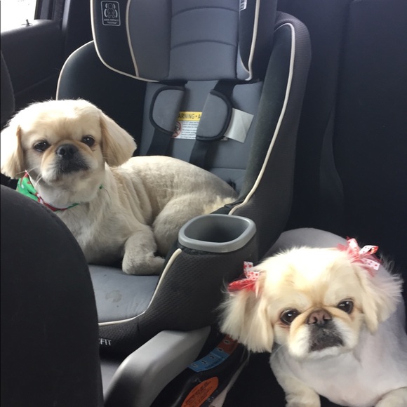 Meet your Posher, Jacki - Picture 5 of 8